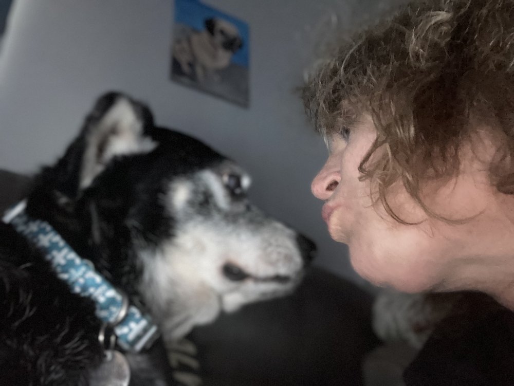 PAWTASTIC PET AND HOUSE SITTING 10 Photos Nashua, New Hampshire