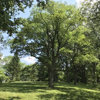 Arnold Arboretum - Tranquility. - Parks Near Me - Boston, Massachusetts Arnold Arboretum - Tranquility. - Parks Near Me - Boston, Massachusetts