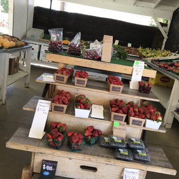 Smith Farms - a display of strawberries for sale - Fruits & Veggies Near Me - Fountain Valley, California Smith Farms - a display of strawberries for sale - Fruits & Veggies Near Me - Fountain Valley, California