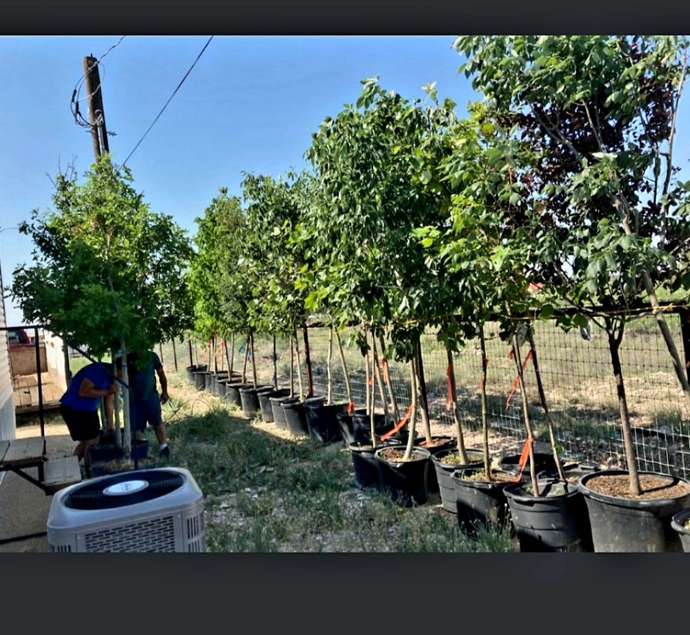 ODESSA IRRIGATION 2 Updated July 2024 Odessa, Texas Irrigation