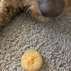 Cosmo's Dog Bakery & Pet Supplies - Breakfast biscuit