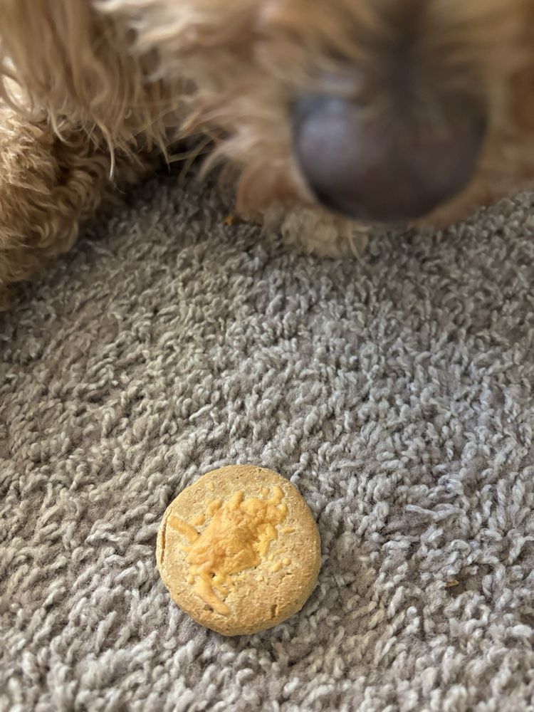 Cosmo's Dog Bakery & Pet Supplies Image
