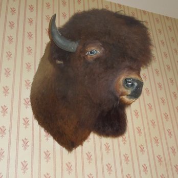 Fort Edmonton Park - Parks Near Me - Edmonton, Alberta