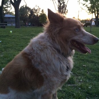 Barking Bad Grooming - Pet Groomers Near Me - Albuquerque, New Mexico