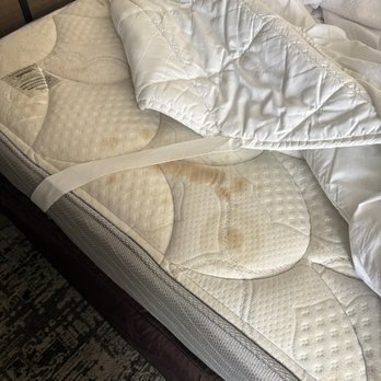Quality Inn - Hotels Near Me - Wickliffe, Ohio