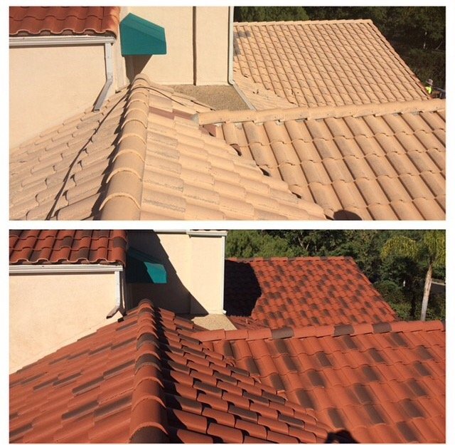 Slide of Custom Coating Restorations