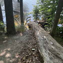 Riverside Park - Down the trail