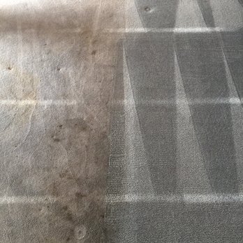 William's Carpet Cleaning - Carpet Cleaning Near Me William's Carpet Cleaning - Carpet Cleaning Near Me
