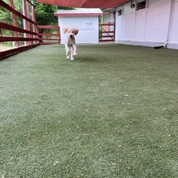 Wunderbar's Pet Hotel - Pet Boarding Near Me - Walnut Creek, California Wunderbar's Pet Hotel - Pet Boarding Near Me - Walnut Creek, California