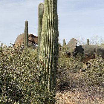 Arizona-Sonora Desert Museum - Museums Near Me - Tucson, Arizona