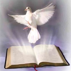 Shield of Faith Ministries