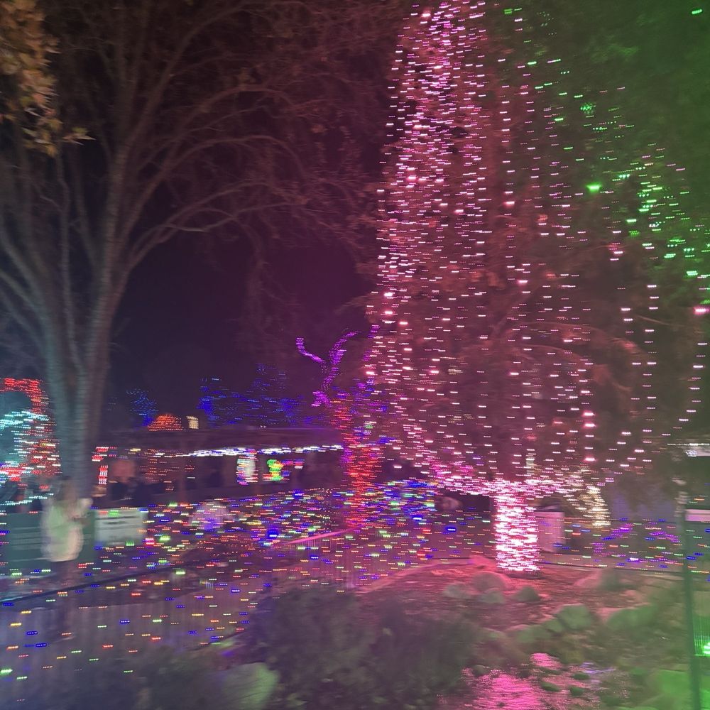 Holiday Lights at C.A.L.M. - Festivals Near Me - Bakersfield, California Holiday Lights at C.A.L.M. - Festivals Near Me - Bakersfield, California