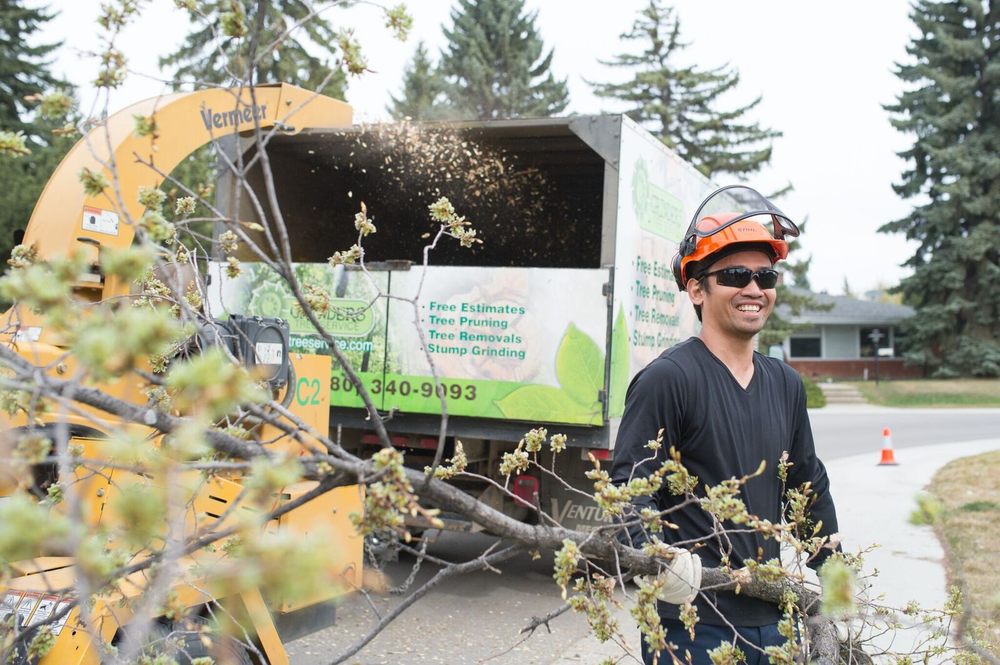GRINDERS TREE SERVICE Updated May 2024 8737 53 Avenue NW, Edmonton