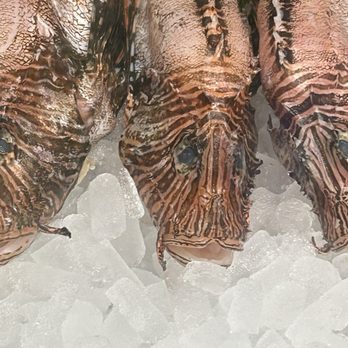 Palm Valley Fish Camp - Seafood Near Me - Ponte Vedra Beach, Florida Palm Valley Fish Camp - Seafood Near Me - Ponte Vedra Beach, Florida