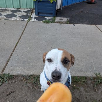 Pete’s Pop Shed - Georgia peach popsicle and my sweet Sylvie pup. - Desserts Near Me - Milwaukee, Wisconsin Pete’s Pop Shed - Georgia peach popsicle and my sweet Sylvie pup. - Desserts Near Me - Milwaukee, Wisconsin