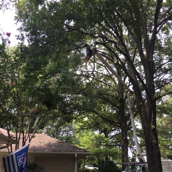 Woodland Tree Service - Landscaping Near Me - Memphis, Tennessee Woodland Tree Service - Landscaping Near Me - Memphis, Tennessee