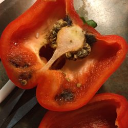 Food Lion - Fresh Red pepper we bought yesterday. Part of a 3 pack. ??? Sad story.