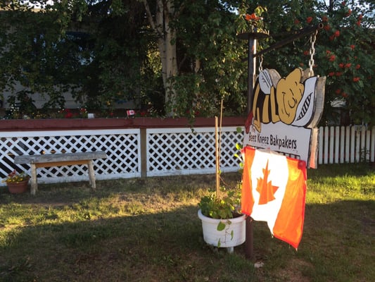 Beez Kneez Bakpakers by null