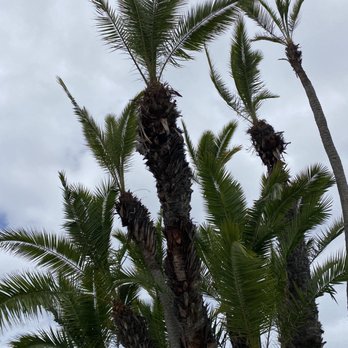 Bahia Resort Hotel - San Diego, CA
