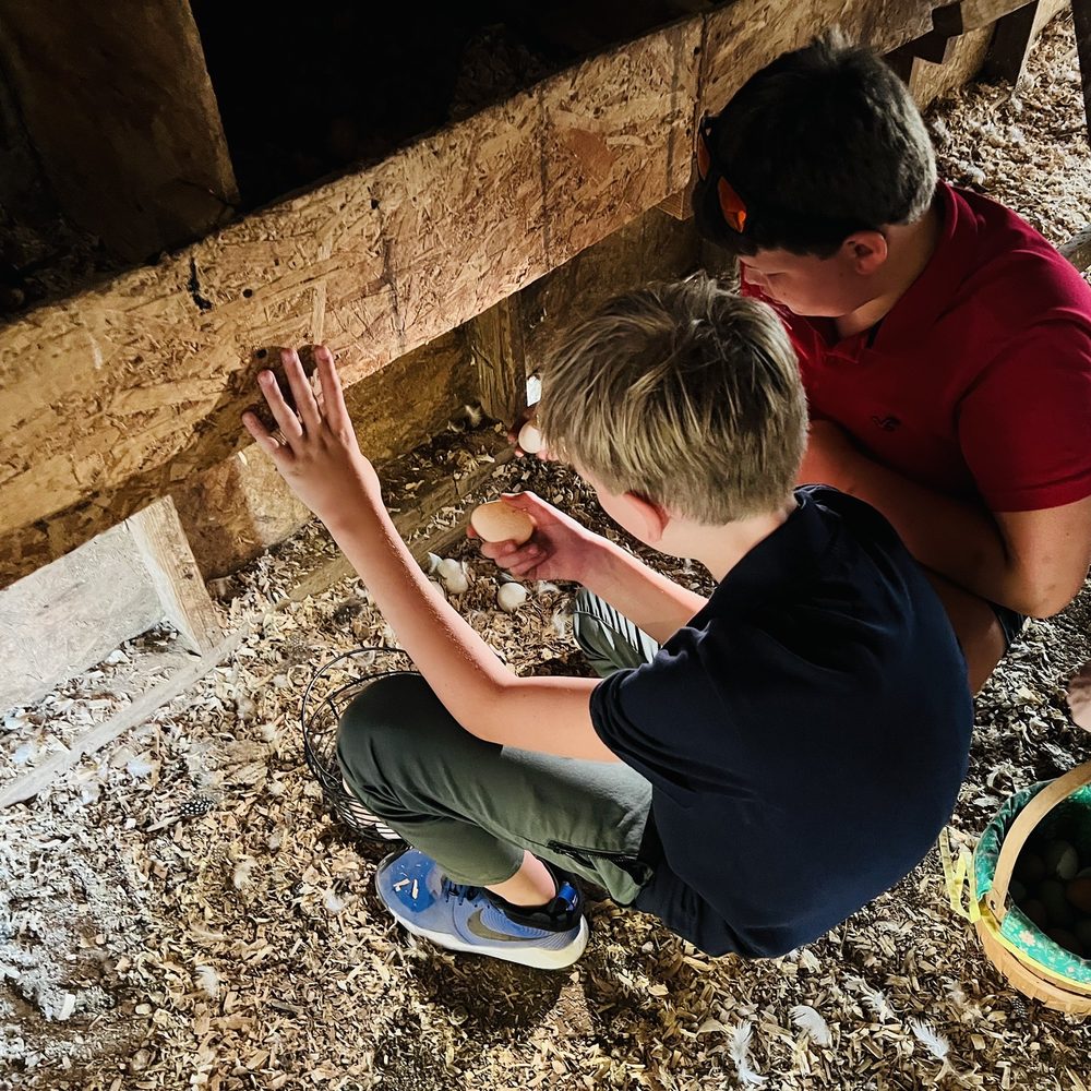 Back-to-Eden Ranch - Attraction Farms Near Me - Gilroy, California