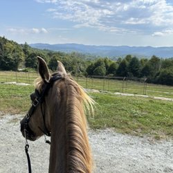 Broyhill Equestrian Preserve - My horse enjoying the view from the manor house.