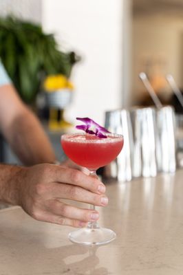 The Shore Room by null