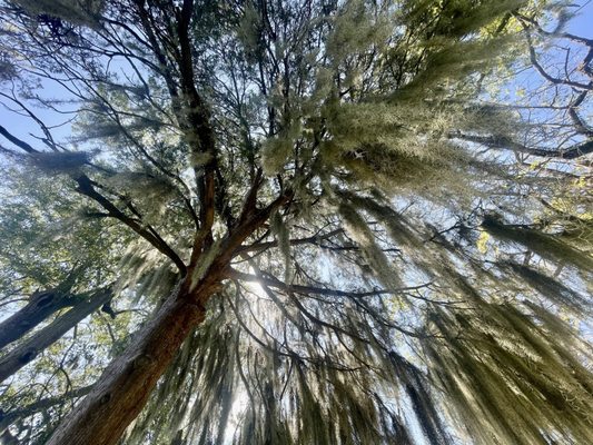 New Bern Tours by null