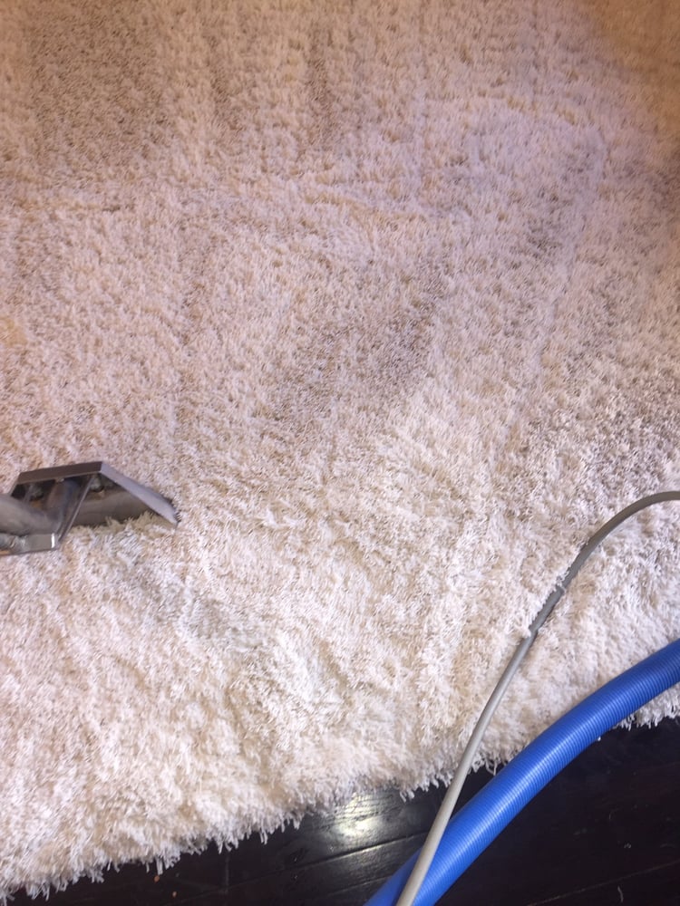 GREEN CLEANING SOLUTIONS Updated July 2024 36 Photos & 26 Reviews Encino, California