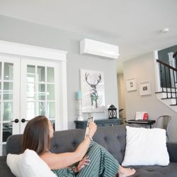 Alpine Heat Pumps - Mini-split zone control