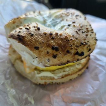 Fishhawk Bagels - Bagels Near Me - Riverview, Florida
