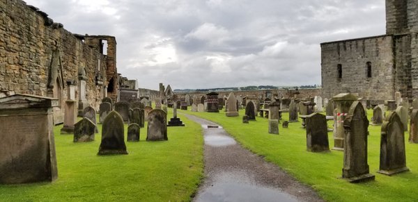 St Andrews Cathedral by null