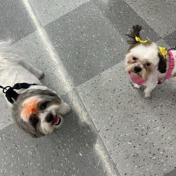 Discount Pets - Pet Groomers Near Me - Anaheim, California