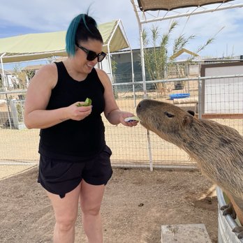 GHOST RANCH EXOTICS AND FUNNY FOOT FARM - Updated March 2026 - 56 ...