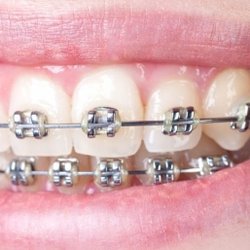 Korne Ortho