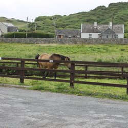 O'Connor's Farmhouse