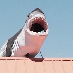 Fresno Hock Shoppe - Ha, a " Loan Shark". Love it.