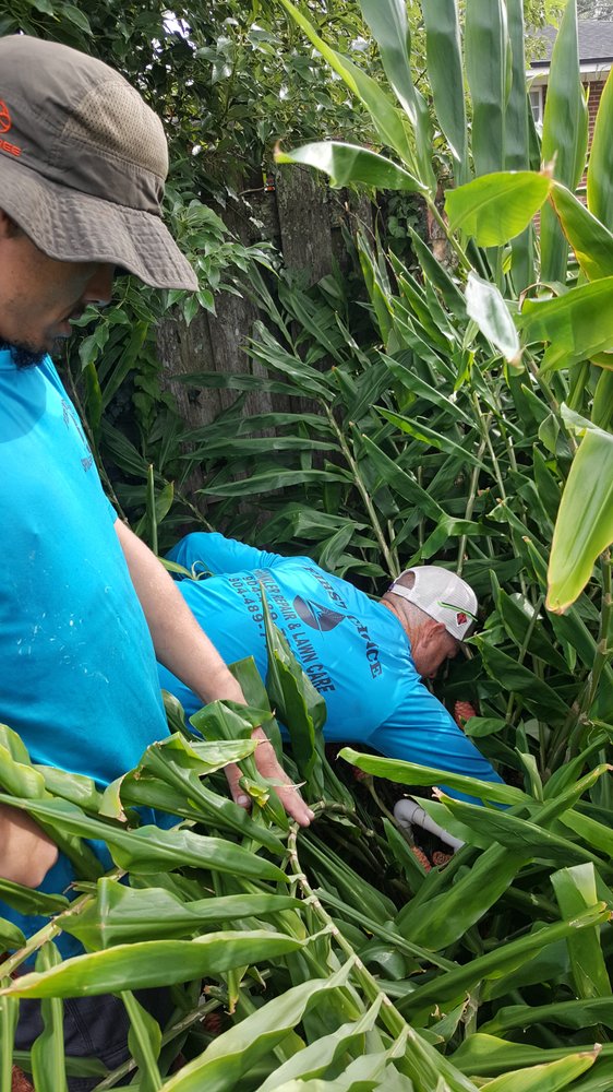 FIRST CHOICE SPRINKLER REPAIR AND LANDSCAPE LIGHTING Updated