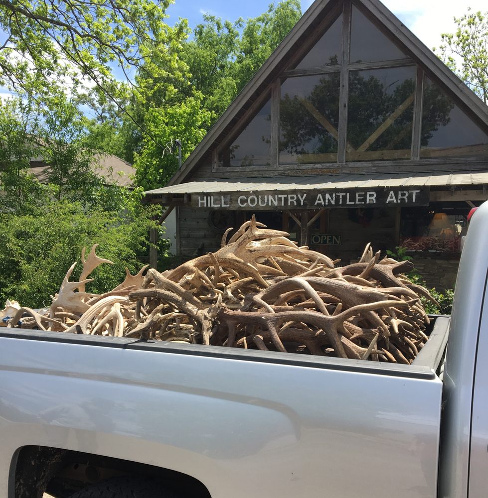 HILL COUNTRY ANTLER BUYERS 201 E Creek St, Fredericksburg, Texas