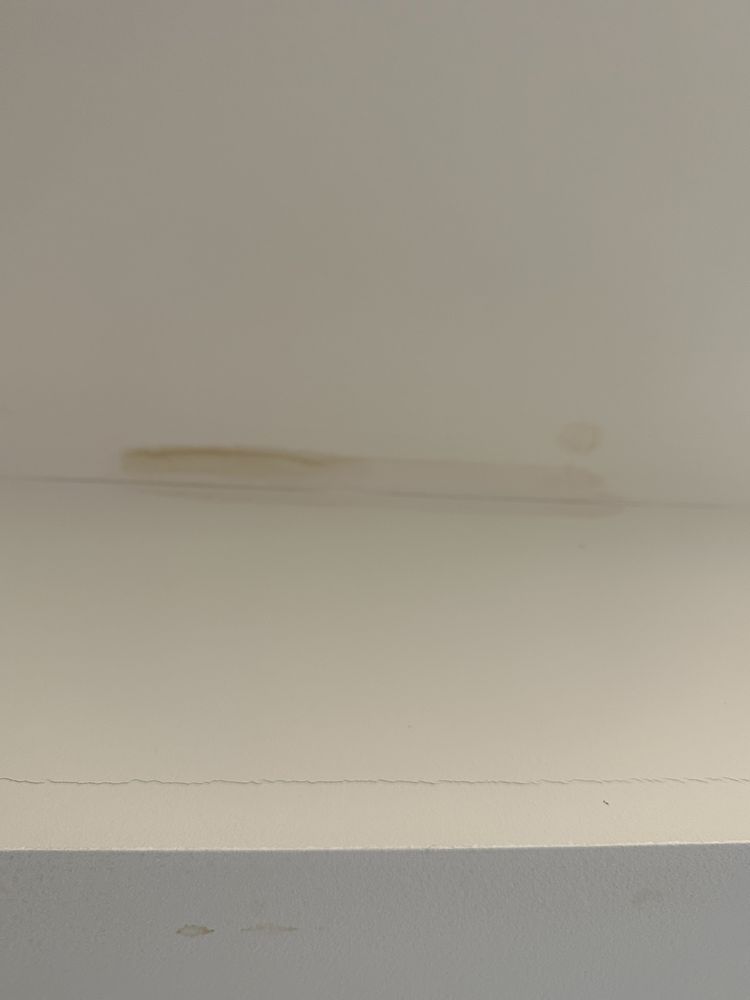 Slide of Str8 Flush Drain Cleaning