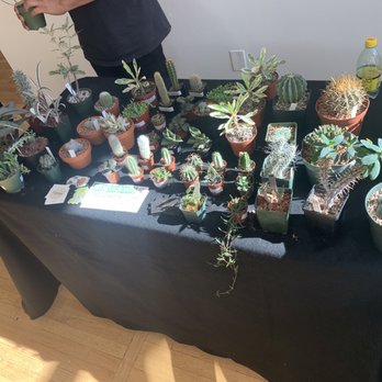 Plant Shop Chicago - Nurseries & Gardening Near Me - Chicago, Illinois Plant Shop Chicago - Nurseries & Gardening Near Me - Chicago, Illinois