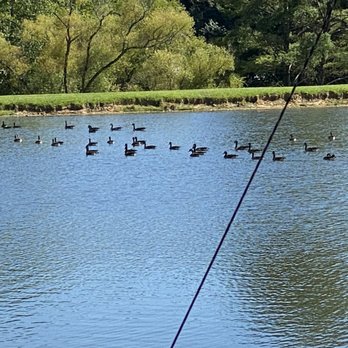 Rutledge Lake RV Park - Campgrounds Near Me - Fletcher, North Carolina Rutledge Lake RV Park - Campgrounds Near Me - Fletcher, North Carolina