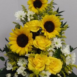 Amazing Creations Flowers And More