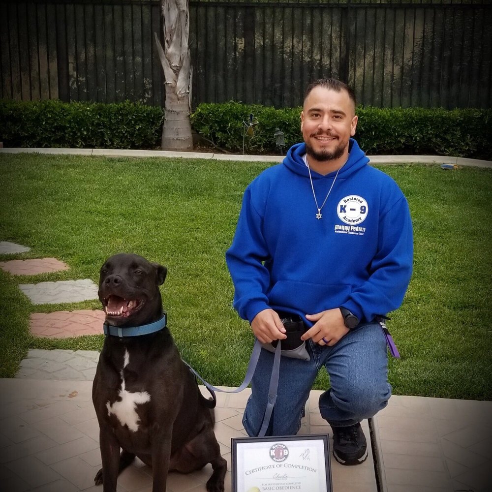Restored k-9 Academy - Pet Training Near Me Restored k-9 Academy - Pet Training Near Me
