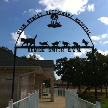 Main Street Veterinary Hospital - Veterinarians Near Me - Flower Mound, Texas Main Street Veterinary Hospital - Veterinarians Near Me - Flower Mound, Texas