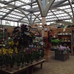 Botanic