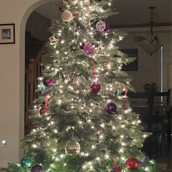 Big Wave Dave Christmas Trees & Pumpkin Patch - Christmas tree from Big Wave Dave in Moorpark