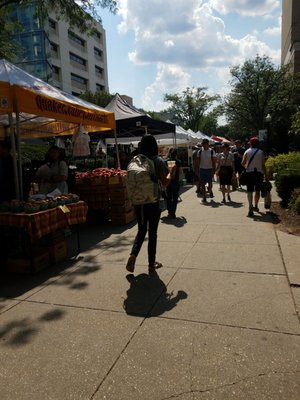 FRESHFARM Foggy Bottom Market by null