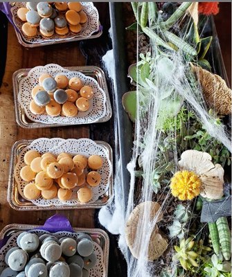 Boston Bonbon by null