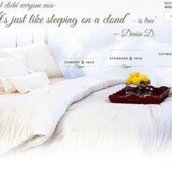 The Wool Bed Company