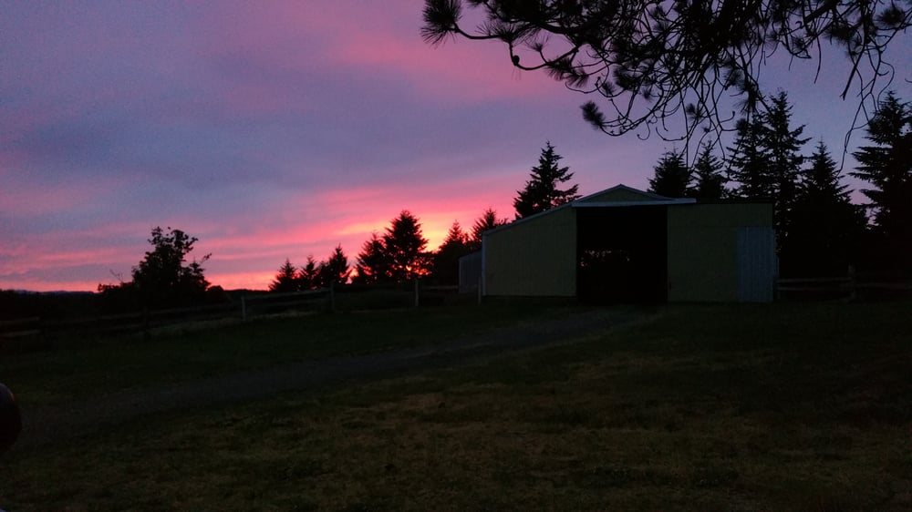 Sky Ranch Stables - equestrian in North Plains, OR